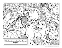 Load image into Gallery viewer, Lavender Coloring Book