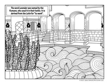 Load image into Gallery viewer, Lavender Coloring Book