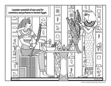 Load image into Gallery viewer, Lavender Coloring Book