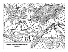 Load image into Gallery viewer, Lavender Coloring Book