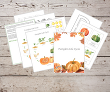 Load image into Gallery viewer, Pumpkin Life Cycle printable workbook
