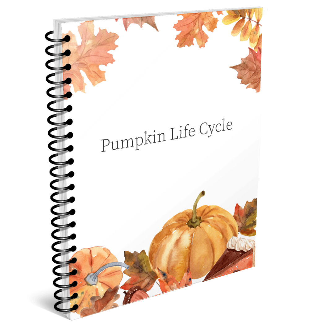 Pumpkin Life Cycle printable workbook